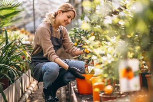 Model kosztowy usług środowiskowych: abonament, projekt czy pay-per-use?