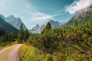 Monitorowanie dzikiej fauny: projekty citizen science z Reco